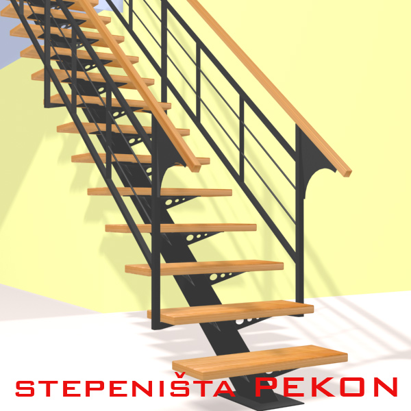 Celicne Stepenice